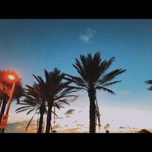 Meet your Posher, Diana